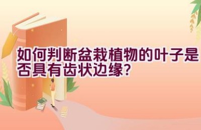 如何判断盆栽植物的叶子是否具有齿状边缘？
