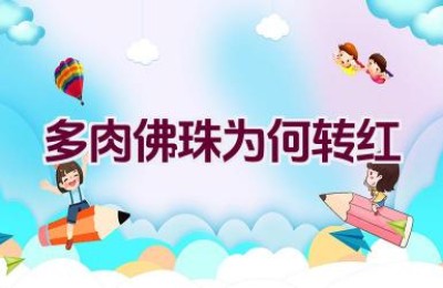 多肉佛珠为何转红