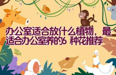 办公室适合放什么植物，最适合办公室养的6种花推荐