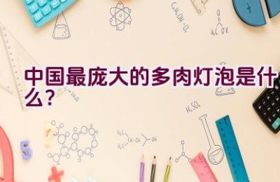 中国最庞大的多肉灯泡是什么？