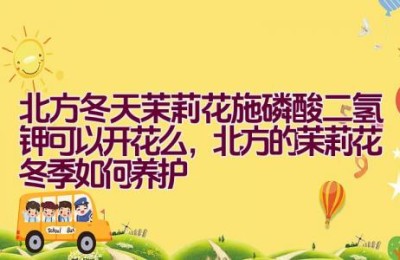 北方冬天茉莉花施磷酸二氢钾可以开花么，北方的茉莉花冬季如何养护