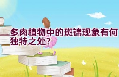 多肉植物中的斑锦现象有何独特之处？