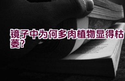 镜子中为何多肉植物显得枯萎？