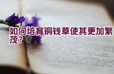 如何培育铜钱草使其更加繁茂？