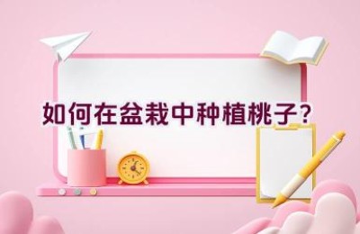 如何在盆栽中种植桃子？