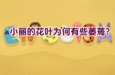 小丽的花叶为何有些萎蔫？