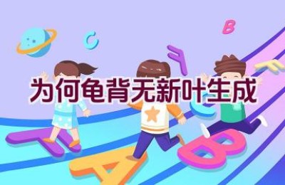 为何龟背无新叶生成