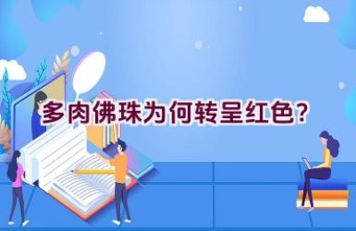 多肉佛珠为何转呈红色？
