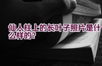仙人柱上的长叶子照片是什么样的？