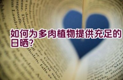 如何为多肉植物提供充足的日晒？