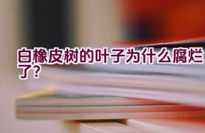 白橡皮树的叶子为什么腐烂了？