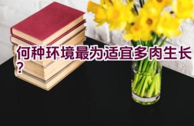 何种环境最为适宜多肉生长？