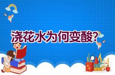 浇花水为何变酸？