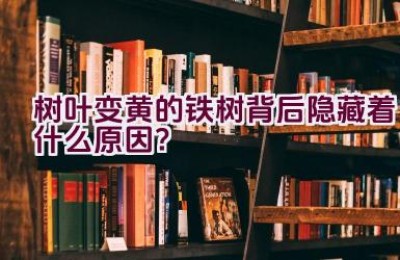 树叶变黄的铁树背后隐藏着什么原因？