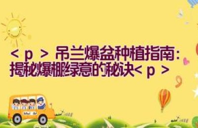 吊兰爆盆种植指南：揭秘爆棚绿意的秘诀