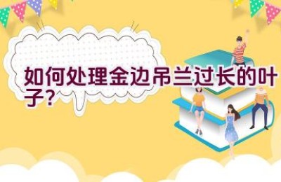 如何处理金边吊兰过长的叶子？