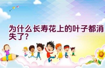 为什么长寿花上的叶子都消失了？