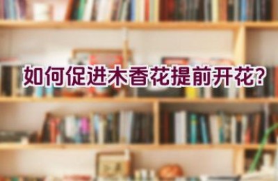 如何促进木香花提前开花？
