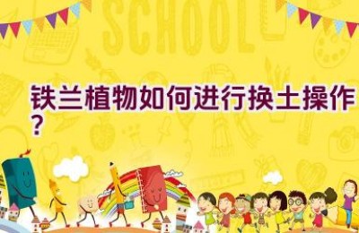 铁兰植物如何进行换土操作？