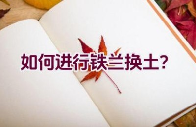 如何进行铁兰换土？