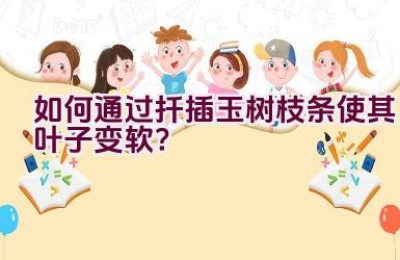 如何通过扦插玉树枝条使其叶子变软？