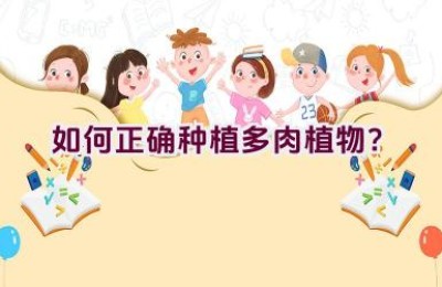 如何正确种植多肉植物？