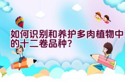 如何识别和养护多肉植物中的十二卷品种？