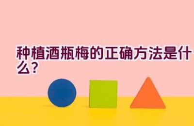 种植酒瓶梅的正确方法是什么？