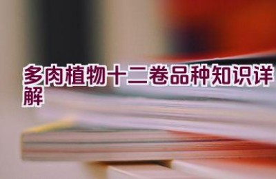 多肉植物十二卷品种知识详解