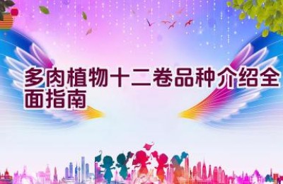 多肉植物十二卷品种介绍全面指南