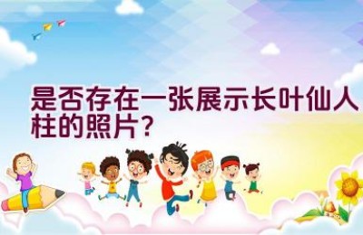 是否存在一张展示长叶仙人柱的照片？