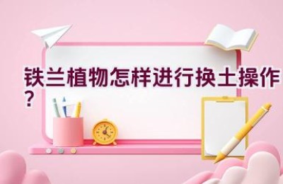 铁兰植物怎样进行换土操作？
