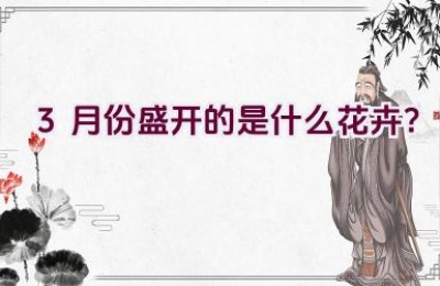 3月份盛开的是什么花卉？