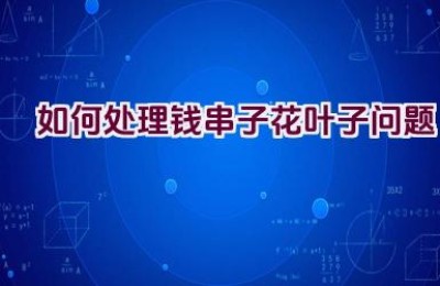 如何处理钱串子花叶子问题