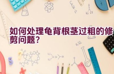 如何处理龟背根茎过粗的修剪问题？