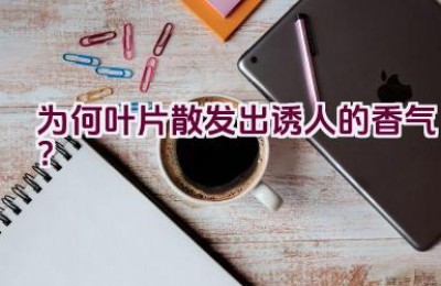 为何叶片散发出诱人的香气？