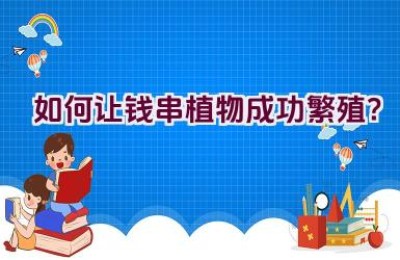 如何让钱串植物成功繁殖？