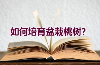 如何培育盆栽桃树？