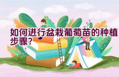 如何进行盆栽葡萄苗的种植步骤？