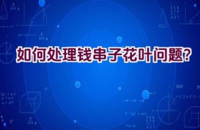 如何处理钱串子花叶问题？