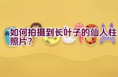 如何拍摄到长叶子的仙人柱照片？
