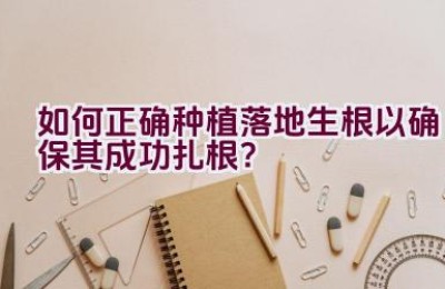 如何正确种植落地生根以确保其成功扎根？