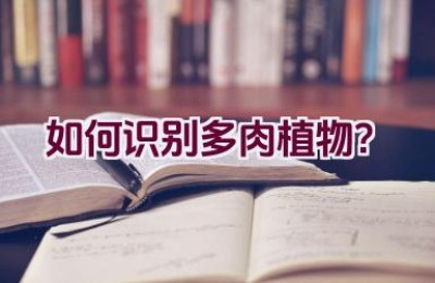 如何识别多肉植物？
