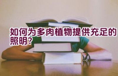 如何为多肉植物提供充足的照明？