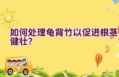 如何处理龟背竹以促进根茎健壮？