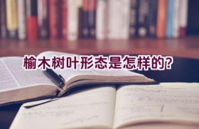 榆木树叶形态是怎样的？