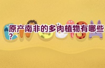 原产南非的多肉植物有哪些？