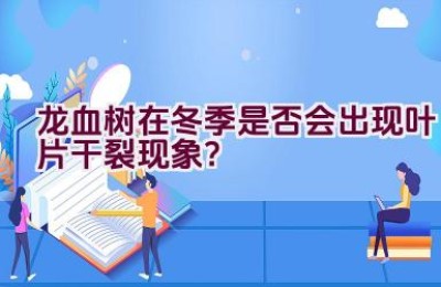 龙血树在冬季是否会出现叶片干裂现象？