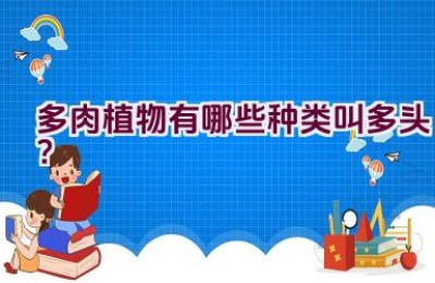 多肉植物有哪些种类叫多头？