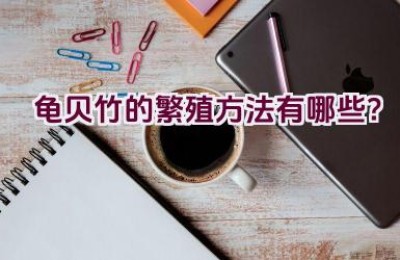 龟贝竹的繁殖方法有哪些？